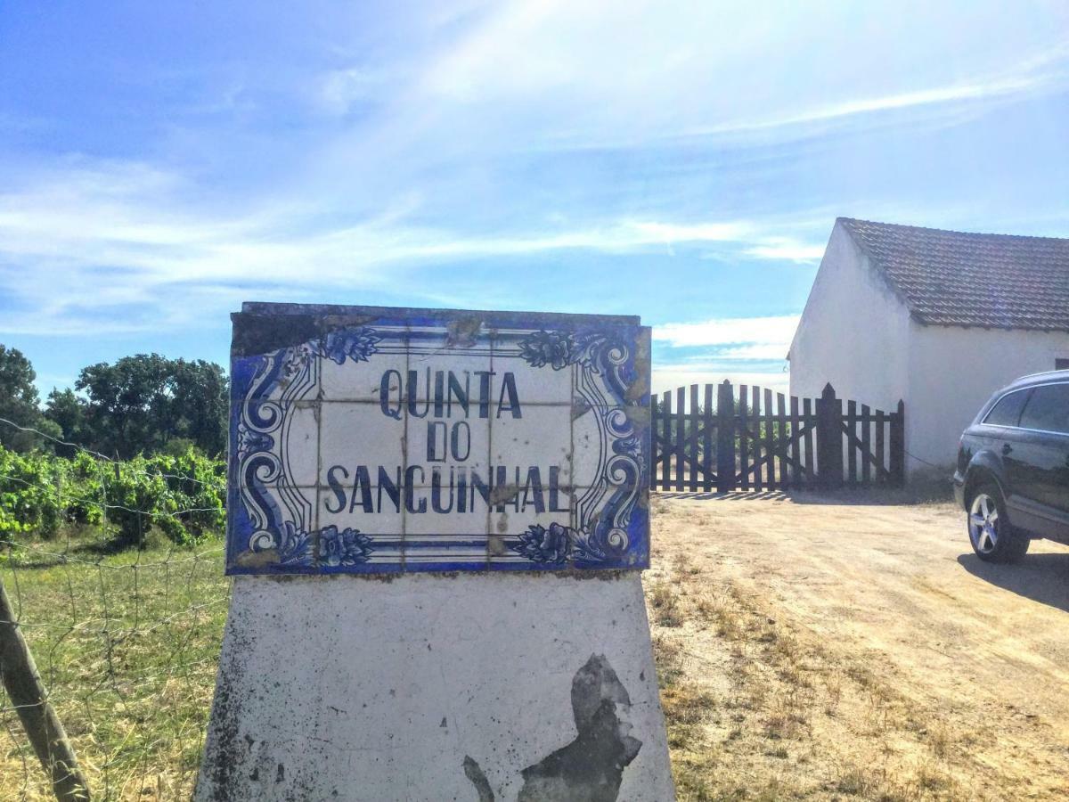 Quinta Do Sanguinhal Villa Rio Maior Kültér fotó