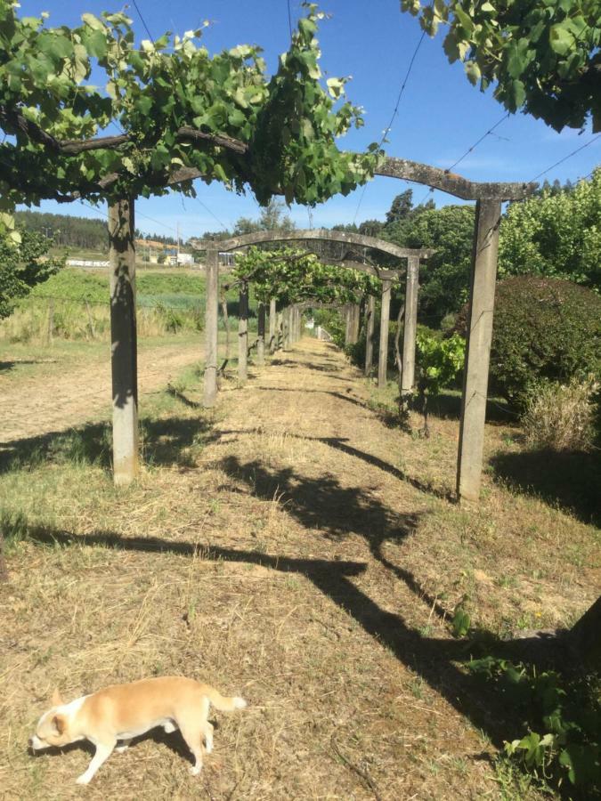 Quinta Do Sanguinhal Villa Rio Maior Kültér fotó