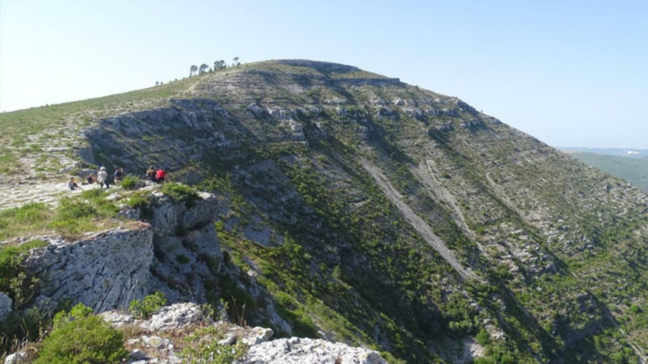 Quinta Do Sanguinhal Villa Rio Maior Kültér fotó